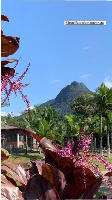 Hotel Fazenda Monte Crista Rio Bonito  Buitenkant foto